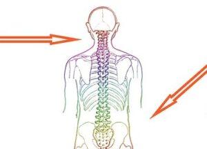 What Can Our Spinal Cord Injury Lawyer Do to Help?